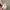 dress cream photo 3