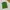 Polo fred perry m12 made in england photo 1