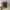 Funko POP Marvel Guardians Of The Galaxy Dancing Groot   photo 2