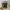 Funko POP Marvel Guardians Of The Galaxy Dancing Groot  