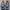 NEW BALANCE WRPD RUNNER MAGNET GREY photo 1