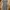 Bodycon Dresses