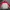 Tracktop Jacket Fila Calcio Red White photo 2