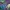 Champion Vintage Y2K Vest Pria Purple Blue