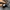 Vans Sk8 Low Skate Pro Black Marshmallow photo 6