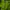 Mountaingeer Luxury Sportswear Track jacket Pria green yellow photo 5