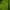Mountaingeer Luxury Sportswear Track jacket Pria green yellow photo 6