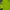 Mountaingeer Luxury Sportswear Track jacket Pria green yellow photo 4