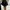 Balloon Skirt Black