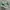 RARE Vans Authentic Late Night Snack Pack French Fries photo 1