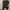 CP Company Vintage photo 1