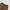 Uniqlo Short Pria brown photo 2