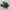 Onitsuka Tiger Mexico 66 Deluxe Leather Full Black photo 2