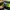 Herschel x Beams Eigteen Hip Pack DST camo Line Puch photo 5