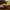 Herschel x Beams Eigteen Hip Pack DST camo Line Puch photo 6