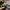 Herschel x Beams Eigteen Hip Pack DST camo Line Puch photo 4