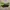 Herschel x Beams Eigteen Hip Pack DST camo Line Puch photo 2