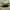 Herschel X Beams Eigteen Hip Pack DST Camo Line Puch