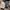 Herschel x Beams Eigteen Hip Pack DST camo Line Puch photo 9