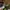 Herschel x Beams Eigteen Hip Pack DST camo Line Puch photo 7