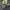 Denim rare redpepper vintage wide leg  photo 8