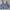Puma Women Fitness Studio Aop Crop Top Atasan photo 2