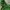 The North Face Gorpcore Windbreaker Pria green photo 6