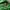 The North Face Gorpcore Windbreaker Pria green photo 7