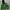 The North Face Gorpcore Windbreaker Pria green photo 1