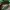 The North Face Gorpcore Windbreaker Pria green photo 5