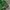 The North Face Gorpcore Windbreaker Pria green photo 4