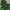 The North Face Gorpcore Windbreaker Pria green photo 2