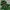 The North Face Gorpcore Windbreaker Pria Green