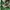 The North Face Gorpcore Windbreaker Pria green photo 8