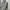 Tote bag karl lagerfeld signature hologram photo 2