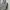 Tote Bag Karl Lagerfeld Signature Hologram