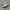 NB 1906L photo 1