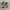 Converse Streetwear Casual Sneakers Pria white brown photo 6