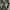 Converse Streetwear Casual Sneakers Pria white brown photo 4