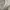 Converse Streetwear Casual Sneakers Pria white brown photo 7