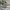 Converse Streetwear Casual Sneakers Pria white brown photo 5