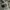 Converse Streetwear Casual Sneakers Pria white brown photo 3