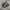 nike p-6000 photo 1
