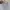 Japanese brand Vintage Luxury Sweater Wanita white photo 3