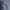 Nike Sportswear Jersey Pria navy photo 4