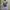 Hoodie Beaumere Y2K  photo 1