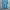 Adidas Sportswear Jersey Pria blue photo 1