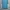 Adidas Sportswear Jersey Pria Blue