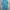 Adidas Sportswear Jersey Pria blue photo 2