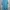 Adidas Sportswear Jersey Pria Blue
